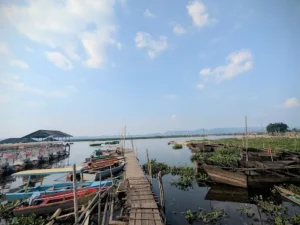 Perampasan Ruang Hidup dalam Revitalisasi Rawa Pening